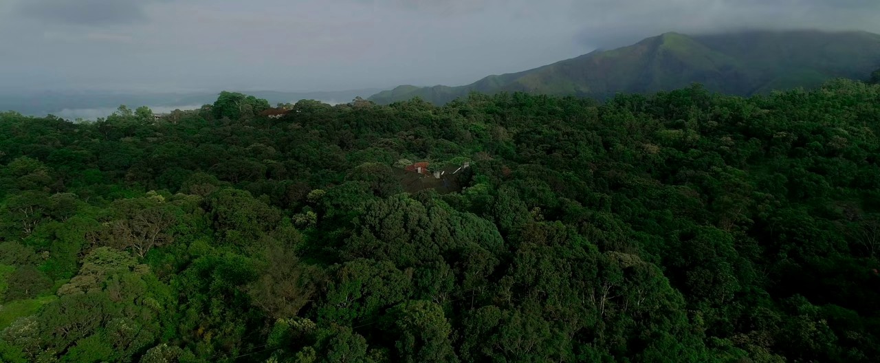 Lovedale (2025) AMZN WEB-DL Hindi + Ml Ta Te Bn Kn Bh En 720p HEVC AAC 2.0 ESub B4uHD.mkv.0001